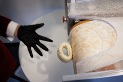 Balena Bagels