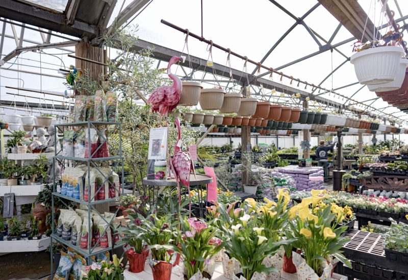 Chapon’s Greenhouse