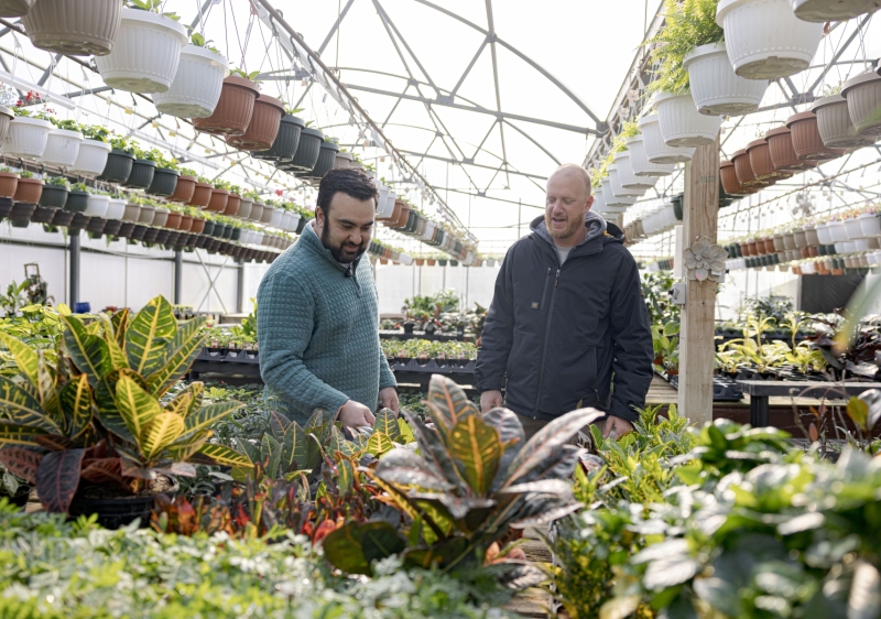 Chapon’s Greenhouse