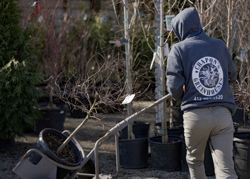 Chapon’s Greenhouse