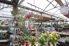 Chapon’s Greenhouse