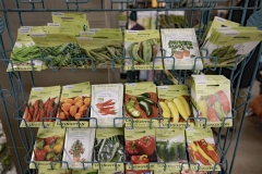 Chapon’s Greenhouse