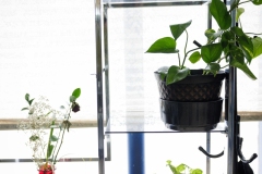 FreeStyle Beauty Salon