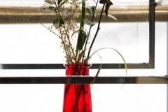 FreeStyle Beauty Salon