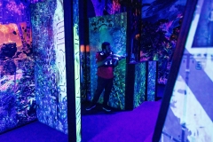 Outer Limits Adventure Park