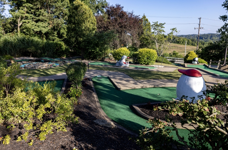 Willow Golf