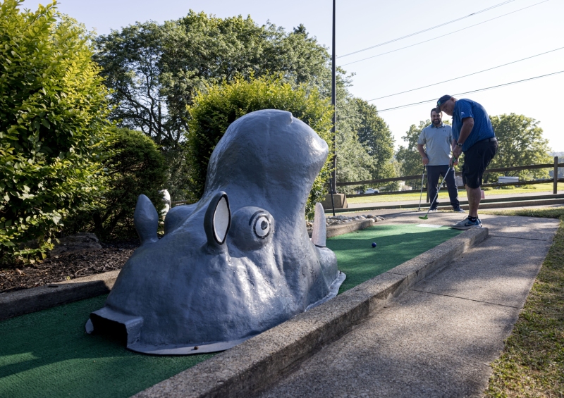 Willow Golf
