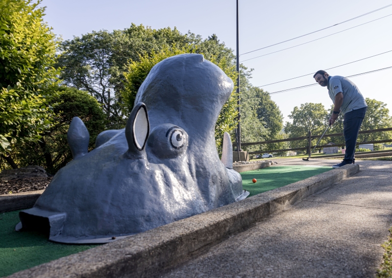 Willow Golf