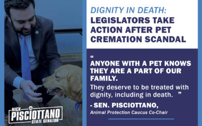 Dignity in Death: Legislators Take Action After Pet Cremation Scandal