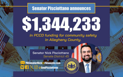 Senator Pisciottano Announces $1.3 Million in Community Safety Funding