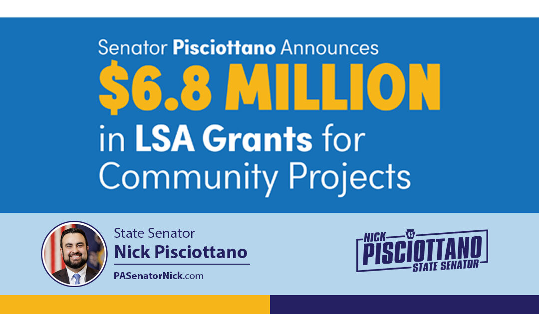 Senator Pisciottano 2026 LSA Grant Awards